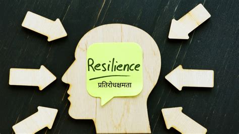 resilience 뜻: 삶의 파도를 넘어서는 힘에 대한 탐구